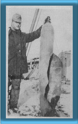 Acetylene Tank Ruputured
During The Explosion