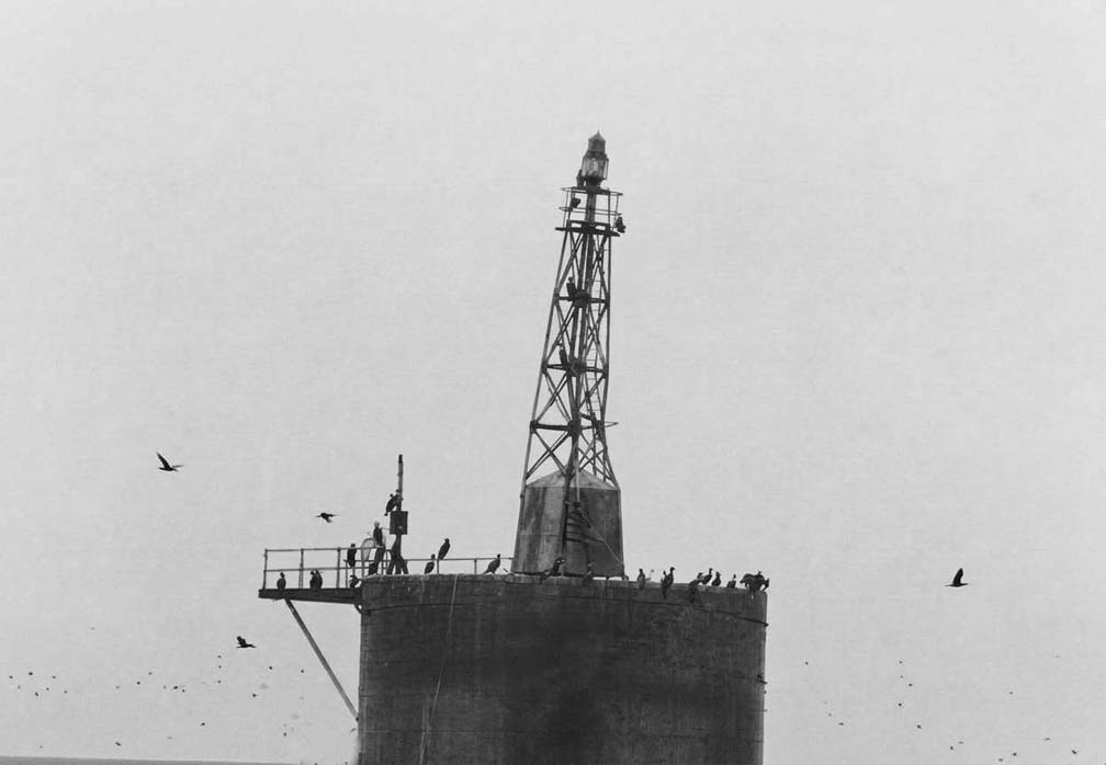 Skeleton Tower on Whale Rock Lighthouse's Base