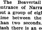 Beavertail Lighthouse Newspaper Articles