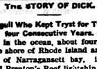 Brenton Reef Lightship LV-39 Newspaper Articles