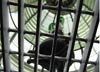 Block Island North Lighthouse's Fourth Order Fresnel Lens 2008